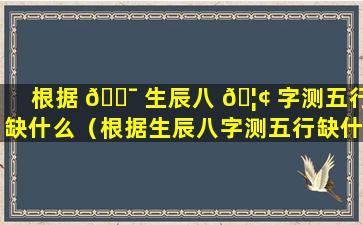 根据 🐯 生辰八 🦢 字测五行缺什么（根据生辰八字测五行缺什么属性）